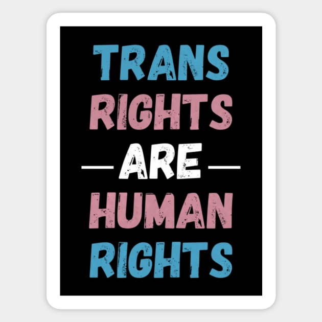 Trans Rights Are Human Rights Sticker by BigTexFunkadelic